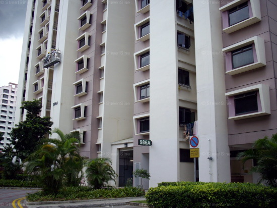 Blk 986A Jurong West Street 93 (Jurong West), HDB 5 Rooms #419092